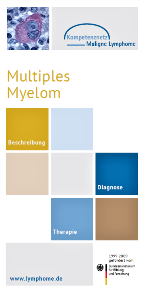 Titelbild des Flyers "Multiples Myelom"